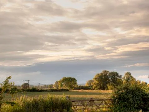 Field and gate background Stock Photos