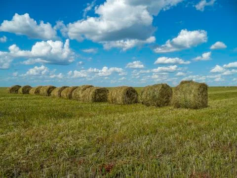 Field and hay rolls Stock Photos