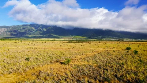 Field and Mountain Video stock 115629988