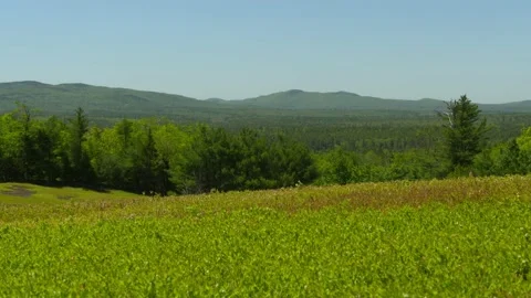 Field and Mountain Stock Footage 147605114