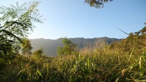 Field and mountains Stock Footage 93593125