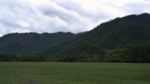 Field And Mountains 库存影片 94149782