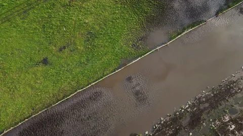 Field and mud channel Stock Footage 166608995