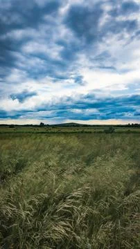 Field and sky with clouds Stock Photos