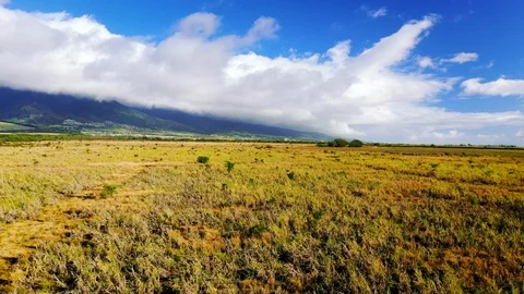 Field and Sky Video stock 115624425