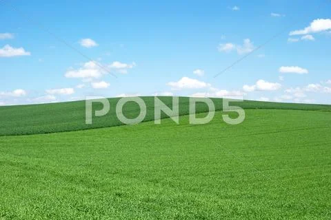 Field and sky Stock Photos