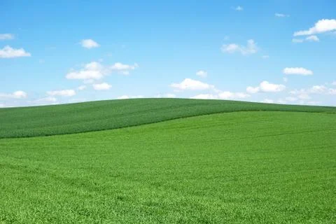 Field and sky Stock Photos