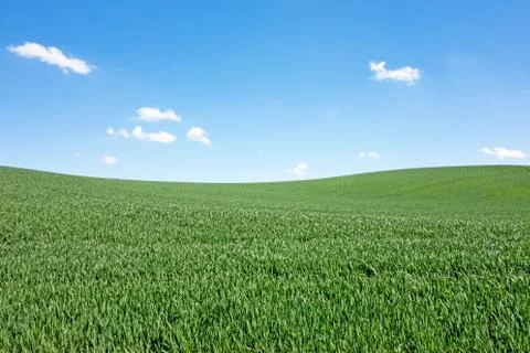 Field and sky Foto stock