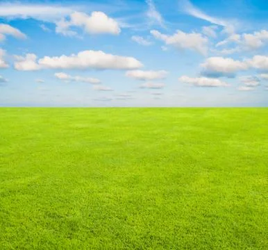 Field and sky Stock Photos