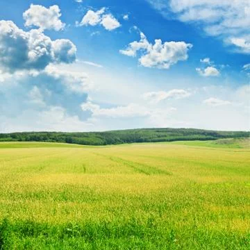 Field and  sky Stock-Fotos