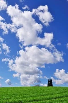Field and sky Stock Photos