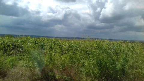 Field and storm clouds Stock Photos