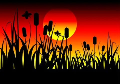 Field and sunset Illustrazione stock