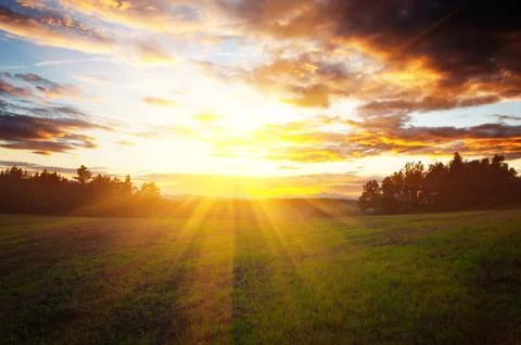 Field and sunset Foto stock