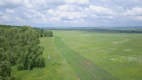 Field and the trail at the edge of the forest Stock Footage 92430991