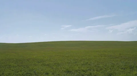 Field and tree pan Vidéo 33837455