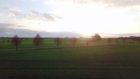 Field and tree path during golden hour - Dynamic Stock Footage 229200745