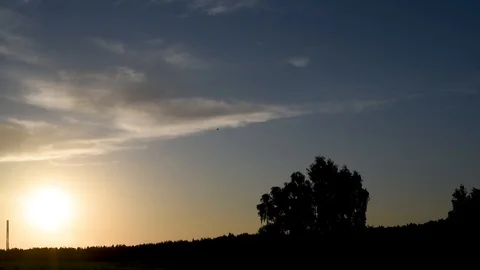 Field and tree at sunset against the light  Video stock 90977852