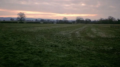 Field and trees in background with orange and purple sun rising dawn. Stock Footage 87120474