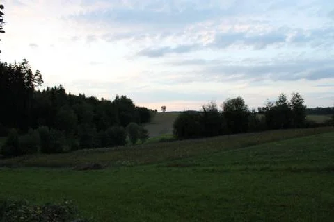 Field and trees with clouds in the sky in the evening Stock Photos