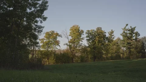 Field and trees during the fall at golden hour, tripod shot 库存影片 294468206