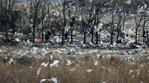 A field and trees full of scattered garbage Stock Footage 123969067