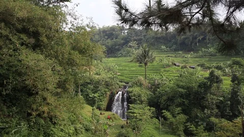 Field and Waterfall Stock Footage 111884575