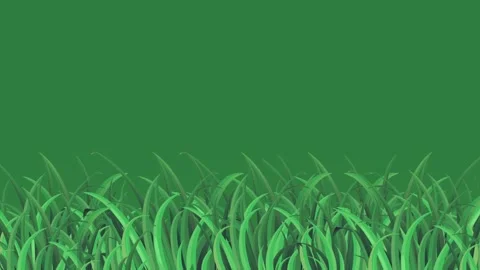 Field Animated Motion Graphic Overlay Stock Footage 338017927