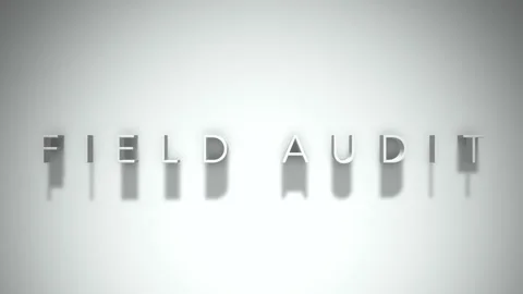 Field audit 3D title animation with shadows on a white background Stock Footage 297216697
