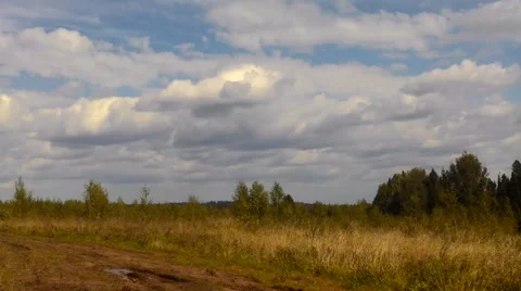 Field autumn clouds and forest on horizon Stock Footage 54090197