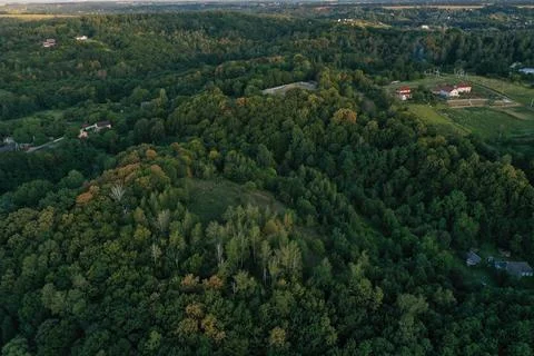 Field autumn mountain forest trees houses Stock Photos