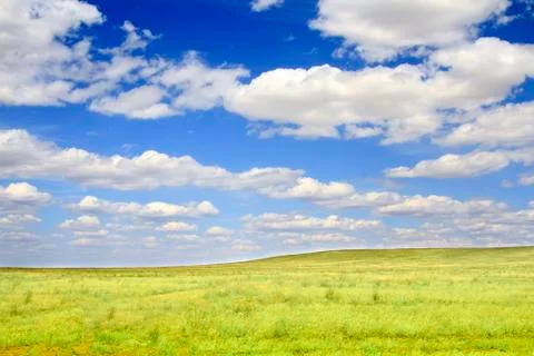 Field on a background of the blue sky Stock-Fotos