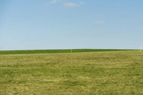 Field on a background of the blue sky Stock Photos