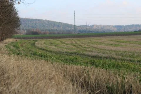 Field background edge of village Stock Photos