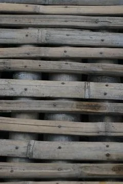 Field of bamboo Stock Photos
