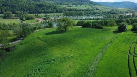 Field with a beautiful tree on the background of the river Stock Footage 154385978