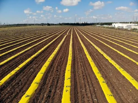 Field with beds Stock Photos