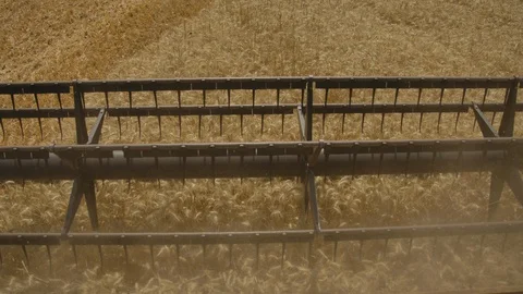 Field being harvested Stock Footage 125083086