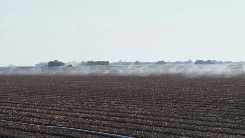A field being watered in the Central Valley of California Stock Footage 220244656