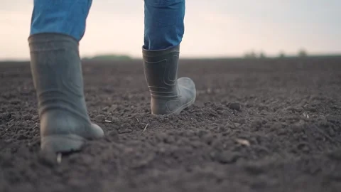 Field beneath boots as man keeps walking across dry land. Walking captured in Stock-Footage 315340224
