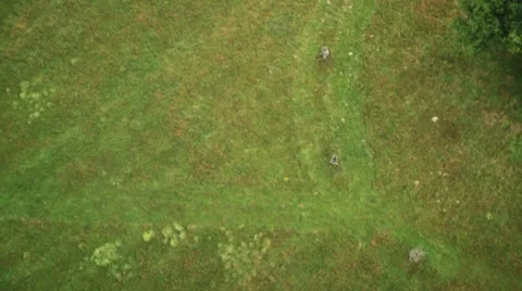 Field - Bird Eye View Stockbeeldmateriaal 8554849