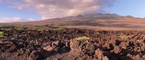 Field of Black Lava Rocks with the Backround of the East Maui Volcano 4k 動画素材 158657421