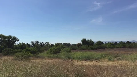 Field with Blue Sky Stock Footage 75593003