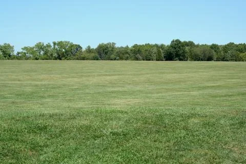 Field with blue sky Stock Photos
