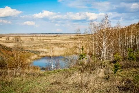 A field with a body of water and trees Stock Photos