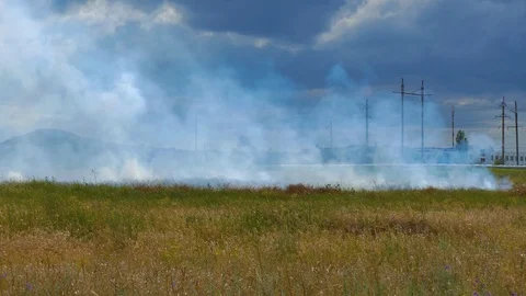 Field Burning With Smoke 動画素材 107265721