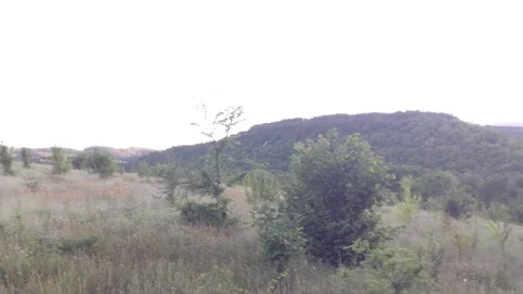 Field with bushes and trees on a background of hills in the summer Stock Footage 119687877