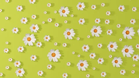 Field with chamomile flowers. Abstract animation Stock Footage 272758657