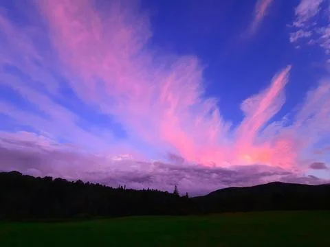 Field on chealse rd  Stock Photos
