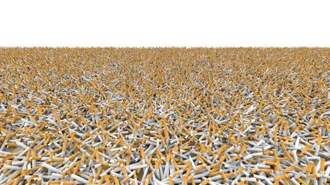 Field of cigarettes Stock-Fotos